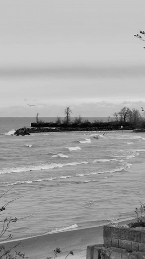 1.5K views · 35 reactions | Scenic Avon Lake. The calmness of the waves at Miller Road Park. Wind is from 237 degrees WSW at 19 MPH with gusts to 28 MPH. | Edmund W. Schuster | Facebook