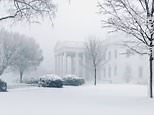 Washington DC sees first snowfall of 2022