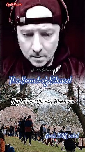 Cherry Blossoms in High Park Toronto 🌸 | The Sound of Silence 🎸 Vibes