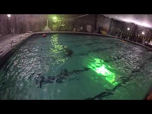 USMA Survival Swimming Survival Gate #4 - 45 Point Option