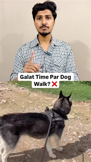 Galat Time Par Dog Walk? Summer Ki Badi Mistake! 🐶🔥 #dogparents #dogcare #doghealth #dogsafety