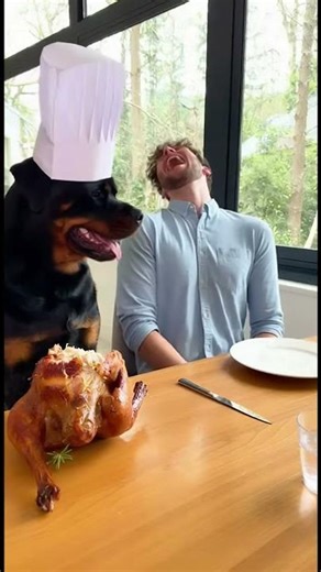 Never challenge a dog chef to an eating contest! 🍗🐶🤣I