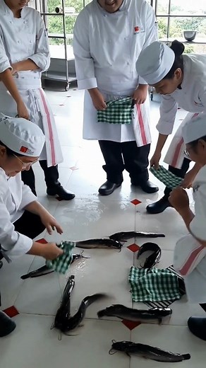 Attain basic culinary skills and unlock your culinary potential with First Gourmet Academy! Our comprehensive hands-on Program is designed to help students succeed in the international culinary arena. Don't just dream of being a culinary artist - Make it reality with First Gourmet Academy! Inquire about our Diploma Programs! Feel free to call us on our landline number: (02) 8951 9655, our mobile number 0917 709 6731 or send us an email at info@firstgourmetacademy.com #FirstGourmetAcademy #Passio