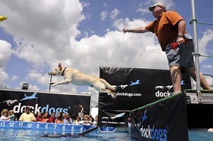 Dock Diving Dog Competition Promises to Make a Splash In Cumming