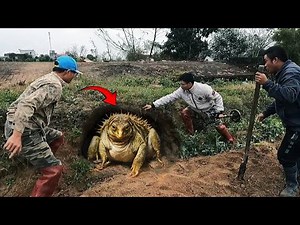 These Strange Creatures Were Actually Caught By the Explorers!