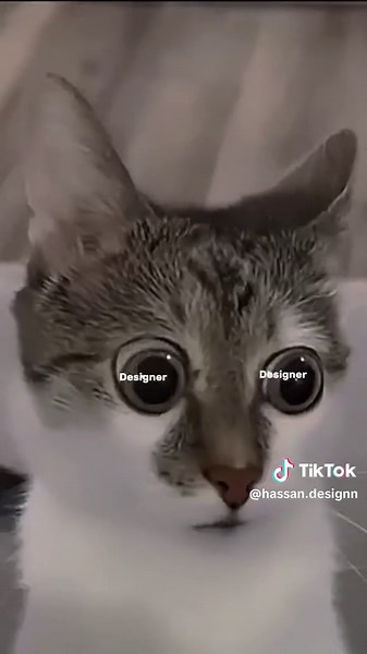 How to Use Graphic Designer Tips in Everyday Life