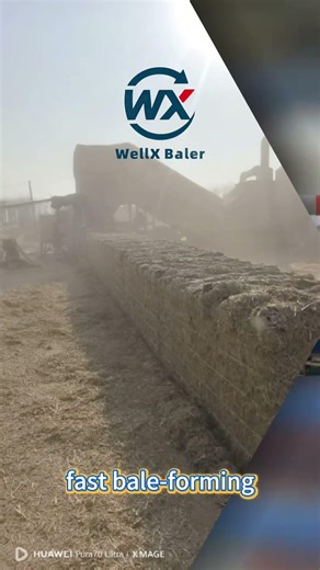 Wanhe 5-String Baler Dense Straw Bales in Seconds