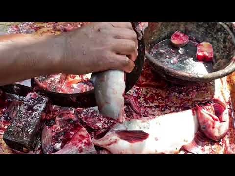 Perfect Fish Filleting in Seconds | Butcher’s Secrets #ButchersSecrets #SeafoodSkills