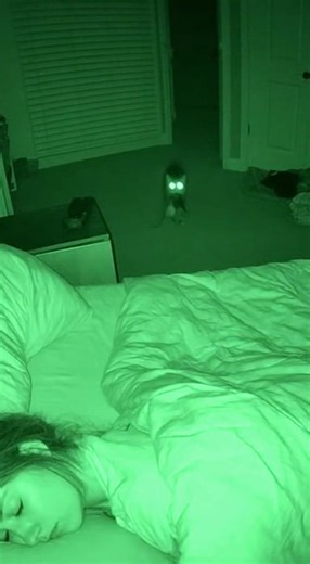 112K views · 215 reactions | Night-vision footage: Cat delivers night terror gift to her human  | The Lowdown | Facebook