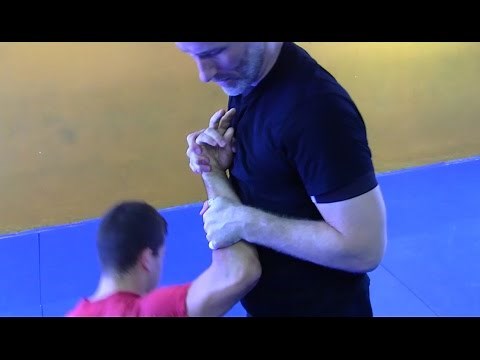 Standing Arm Locks & Restraints - A flow set training methodology