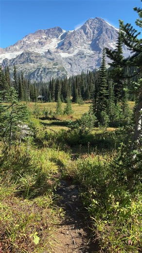 Henry’s Hunting Ground