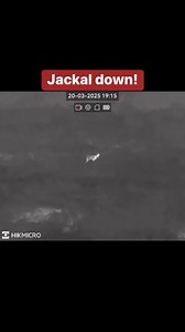 Jackal hunt! | Henry Griffiths