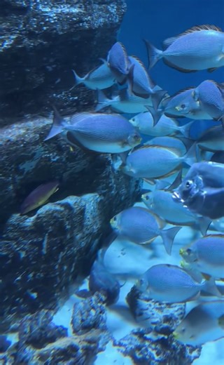 Cinderella.7_ (@cinderella.7_)’s videos with original sound - Cinderella.7_