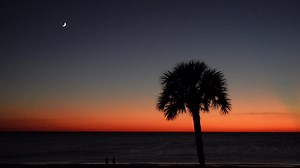 Rushes of Frank Ocean: A Sunset Experience