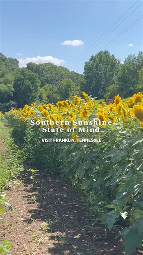 Discover the best places to eat, shop, stay, and explore with our FREE 2024 Summer Guide. ☀️ Just comment "EXPLORE" to get your free copy! . . #FranklinTN #VisitFranklinTN #summervacation | Visit Franklin, TN