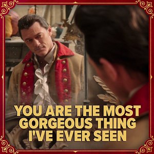 38K views · 1.4K reactions | A gorgeous day for a gorgeous man! #BeautyandtheBeast | Walt Disney Studios | Facebook