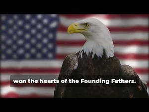 Why the Bald Eagle is the Perfect American Symbol