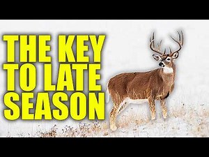 Hunting The Late Season Like a PRO With Don Higgins