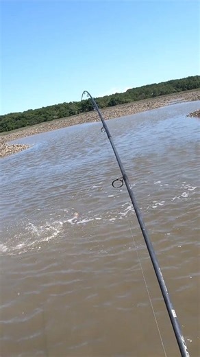 11K views · 140 reactions | Wading for Redfish! #reels #fishing #Redfish #saltwaterfishing | Sea Sea's Honey Hole | Facebook