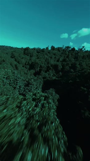 sorry justin bieber #lyricsvideo #lyricsvideos #lyricsmusic #lyricssong #justinbieber