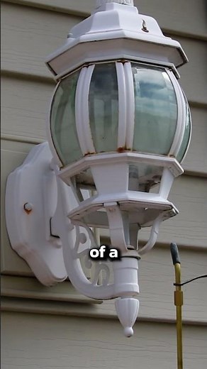 How to Flush Wasps Out with Delta Dust!