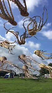 8.2K views · 95 reactions | These octopus kites are insane!  | Sports Vines | Facebook
