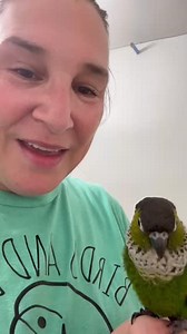 This is Buddy, a black cap conure with all the personality. If you’re interested in adopting, put your application at www.birdsandbeaks.org/adopt We have an adoption radius of 350 miles of Battle Creek, Michigan but will expand for the right homes. We never ship birds, and if you’re outside that radius, the contract you sign will require you to bring them back to the rescue at your expense if for any reason it doesn’t work out. No matter who you adopt from, know that no rescue is shipping birds 