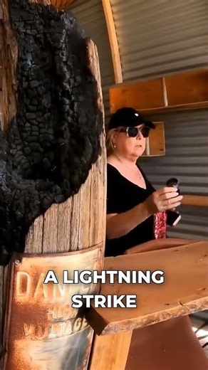 This bush camp has everything (including lightning damage) #camping #bushcamp #overland