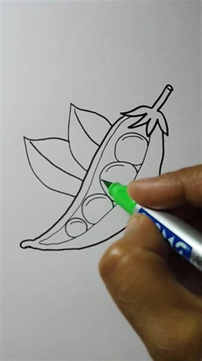 Easy Green Peas Drawing | Simple Vegetable Drawing for Beginners #drawing #easydrawing #shorts