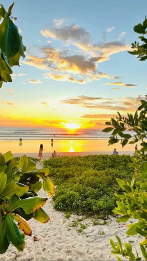 11 reactions · 11 comments | Nosara, Costa Rica is a yogi’s dream. I had to come and experience it personally so I could curate something uniquely special for our first vine retreat. The energy here is unreal, the jungle is enchanting, the waves are roaring and the yoga is world class. Every teacher I have experienced here has brought me closer to my practice. Stay tuned 﫶❤️ | The Yoga Vine | Facebook