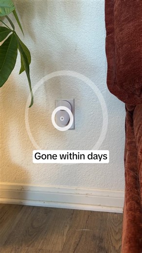 876 reactions · 95 shares | Fleas aren’t just irritating, they can...