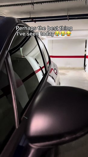 Exploring the Magic of Card Tricks and Collecting