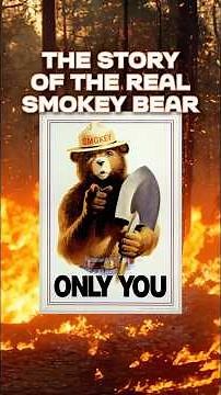 Smokey Bear Was a REAL Bear