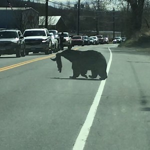 6.9M views · 1.7K reactions | The struggles of parenting  | Lessons Learned In Life | Facebook