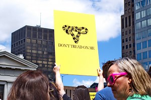 Ted Cruz and Alexandria Ocasio-Cortez Join Push for Over-the-Counter Birth Control