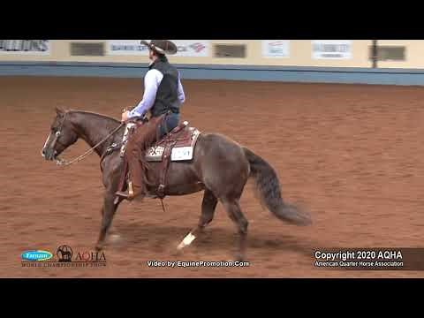 2020 AQHA Senior Ranch Riding