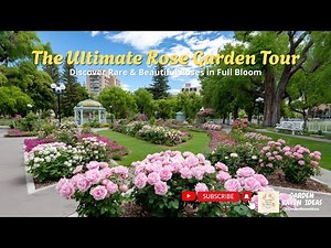 🌹✨ The Ultimate Rose Garden Tour | Discover Rare & Beautiful Roses in Full Bloom 🌸🌿