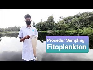 Prosedur Sampling Fitoplankton