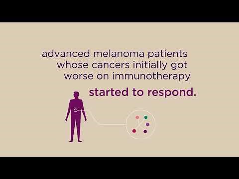 Understanding Fecal Microbiota Transplant (FMT) | UPMC