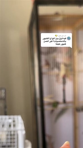 ‏الرد على @T🍋