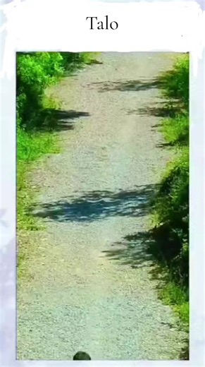 Dinosaur Prank Inspired by Jurassic Park