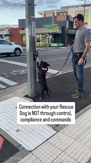 66 reactions | Recently adopted a dog. Congrats Take your time -...