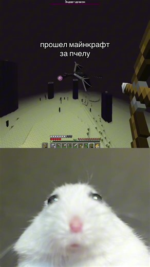 Minecraft Bees: Surviving Hardcore Mode