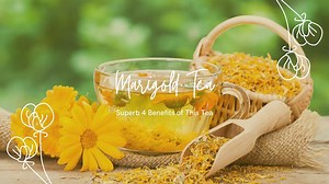 Marigold Tea, Superb 4 Benefits of This Tea