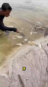 878K views · 4.3K reactions | Don’t Think This Floating Thing Is Animal Poop  . . . . . #flooting #animal #poop #explorepage #exploremore #viralreels #reels | Labeeway | Facebook