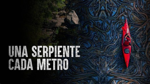 Cómo Sobrevivir en la Isla de Las Serpientes