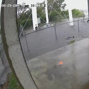 54K views · 404 reactions | USA - August 29, 2021 Hurricane Ida -...