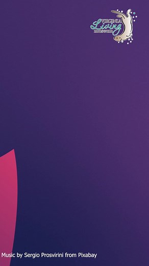 Did you know that the Virginia Living Museum has been participating in the Monarch Watch program since 1987? Over the years, two butterflies tagged by the Museum have been recovered along the migration route. 🦋 The Monarch Watch tags used by scientists and citizen taggers are made of weather-proofed paper with a strong adhesive. Each tag has a unique letter and number code, plus Monarch Watch contact information printed on them. When a butterfly is gently captured, a tag is placed on its hind w