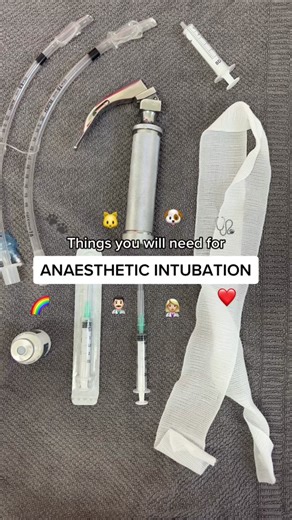What you will need for canine or feline endotracheal intubation 🩺👩🏼‍⚕️🐾💕✨ FOLLOW ⏭ Insta for more 🌈 #vetnurse #vettech #vet #veterinary #vetclinic #vetcare #pets #vetmed #vetmedworld #vettechlife #vetnurselife #vetnursestudent #vettechstudent #vetstudent #vetnursing #veterinarymedicine #vetnurseschool #veterinarynurse #vetgirl #vetnurseschool
