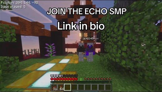 #echosmp #bedrock #minecraft #fyp | minecraft